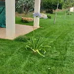 Oleum ميسانيي